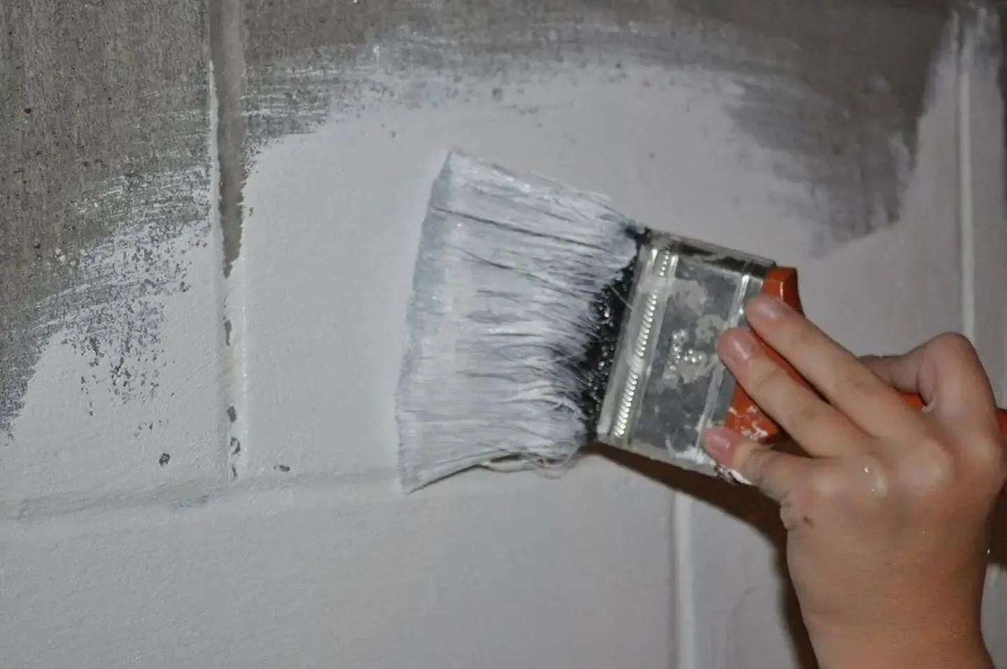 Do Anti-Damp Paints Really Work?