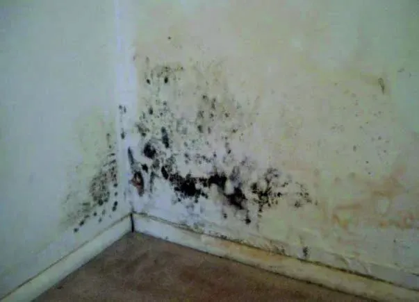 Feuchtigkeits- und Nässefarbe NM-S-10 Image 1