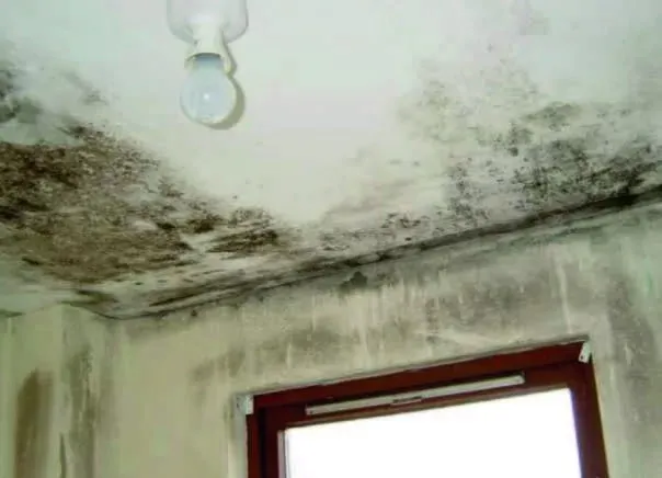 Feuchtigkeits- und Nässefarbe NM-S-10 Image 2