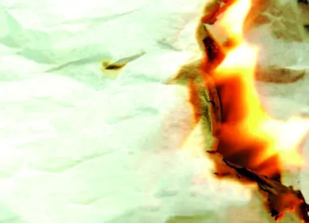 صورة تطبيق محلول مقاوم للحريق No Fire 4