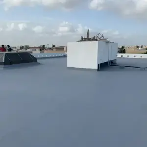 Polyurea tavan su yalıtımı